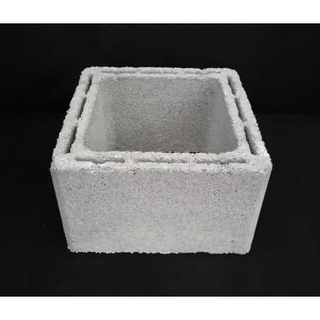 Canna fumaria in cls 30 x 30-40 x 40 cm.